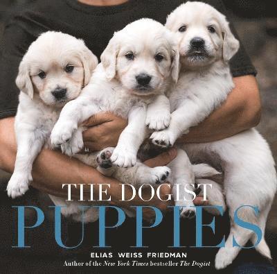 Elias Weiss Friedman - The Dogist Puppies, Inbunden