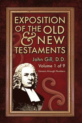 Exposition of the Old & New Testaments - Vol. 1 1