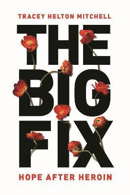 The Big Fix 1