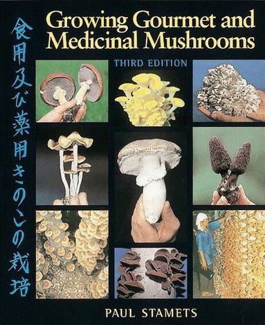 Paul Stamets - Growing Gourmet and Medicinal Mushrooms, Häftad