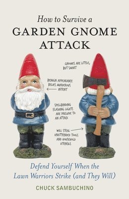 bokomslag How to Survive a Garden Gnome Attack