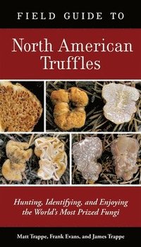 bokomslag Field Guide to North American Truffles