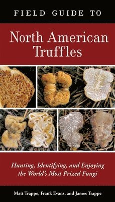 Field Guide to North American Truffles 1