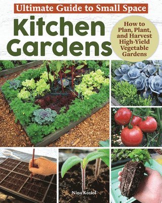 Ultimate Guide to Small Space Kitchen Gardens 1