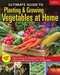 bokomslag Ultimate Guide to Planting and Growing Vegetables at Home