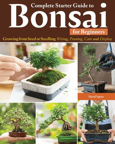 David Squire - Complete Starter Guide to Bonsai, Häftad