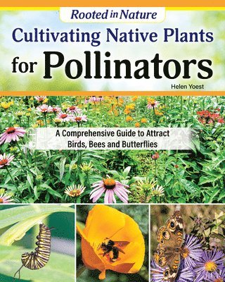 bokomslag Cultivating Native Plants for Pollinators: A Comprehensive Guide to Attracting Birds, Bees and Butterflies