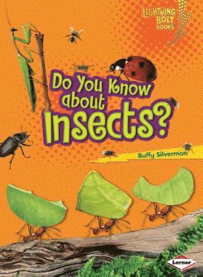 Do You Know about Insects?