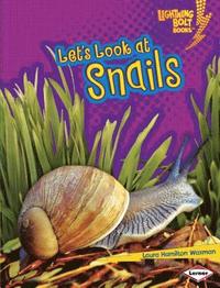 bokomslag Let's Look at Snails