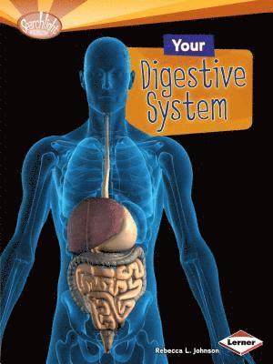 bokomslag Your Digestive System