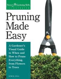 bokomslag Pruning Made Easy