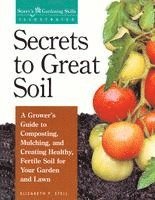 bokomslag Secrets to Great Soil: A Grower's Guide to Composting, Mulching, and Creating Healthy, Fertile Soil for Your Garden and Lawn