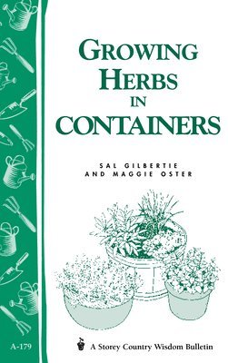 Growing Herbs in Containers 1