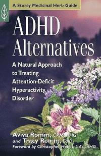 bokomslag ADHD Alternatives