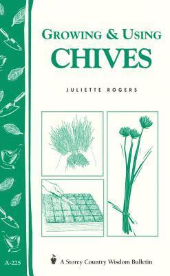 Growing & Using Chives 1