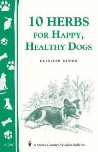 bokomslag 10 Herbs for Happy, Healthy Dogs