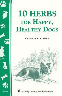 10 Herbs for Happy, Healthy Dogs 1