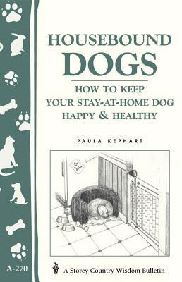Housebound Dogs: How to Keep Your Stay-At-Home Dog Happy & Healthy 1