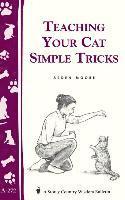 Teaching Your Cat Simple Tricks 1