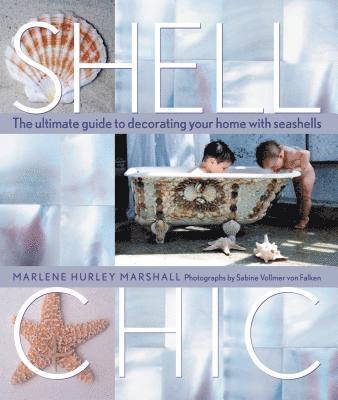 Shell Chic 1