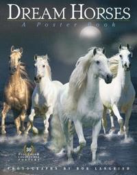 bokomslag Dream Horses: A Poster Book