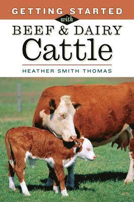 Heather Smith Thomas, Heather Smith Thomas - Getting Started with Beef & Dairy Cattle, Häftad