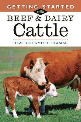 Getting Started with Beef & Dairy Cattle 1