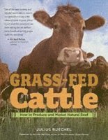 Grass-Fed Cattle 1