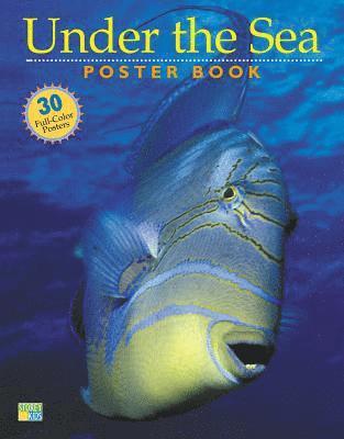 Editors of Storey Publishing, Editors Of Storey Publishing - Under the Sea Poster Book, Häftad