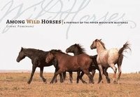 bokomslag Among Wild Horses: A Portrait of the Pryor Mountain Mustangs