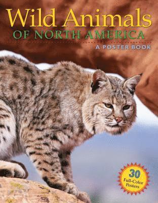 bokomslag Wild Animals Of North America