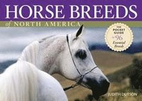 bokomslag Horse Breeds of North America