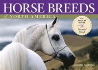 bokomslag Horse Breeds of North America: The Pocket Guide to 96 Essential Breeds