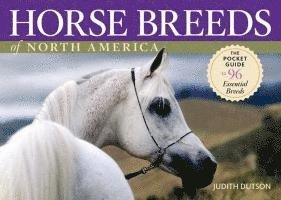 Horse Breeds of North America 1