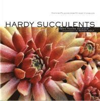bokomslag Hardy Succulents
