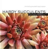 Hardy Succulents 1