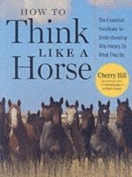 bokomslag How to Think Like a Horse