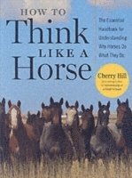 Cherry Hill - How to Think Like a Horse, Häftad