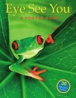 bokomslag Eye See You Poster Book