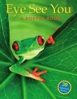 Eye See You Poster Book 1