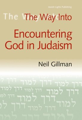 bokomslag The Way into Encountering God in Judaism: Vol 3 