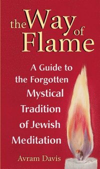bokomslag Way Of The Flame
