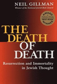 bokomslag The Death of Death: Resurrection and Immortality in Jewish Thought