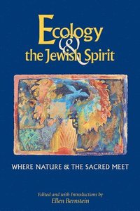 bokomslag Ecology & the Jewish Spirit: Where Nature & the Sacred Meet