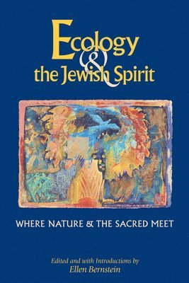 bokomslag Ecology & the Jewish Spirit: Where Nature & the Sacred Meet