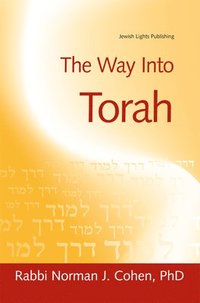 bokomslag The Way into Torah