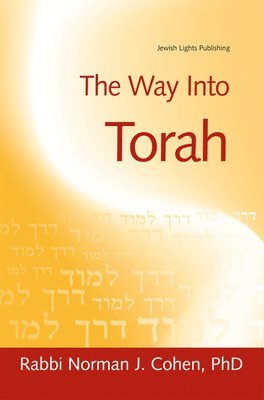 bokomslag The Way Into Torah