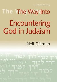 bokomslag The Way into Encountering God in Judaism