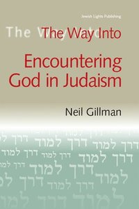 bokomslag The Way into Encountering God in Judaism