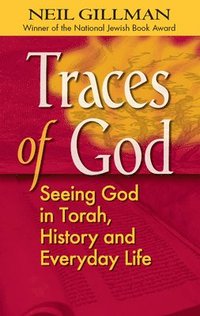 bokomslag Traces of God: Seeing God in Torah, History and Everyday Life